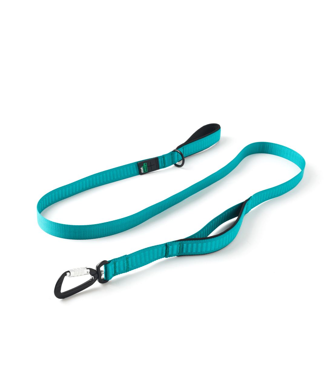 Rover Gear Essential Dog Walking Leash Leash Rover Store 6 ft Teal 