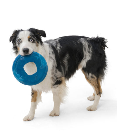 Sailz™ Disc Dog Toy Dog Toys Rover 
