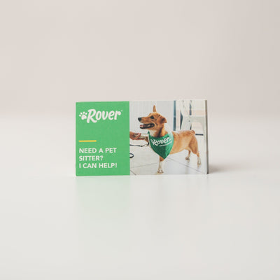 Sitter Promo Cards (250 cards) Business Promotional Materials Rover Store 