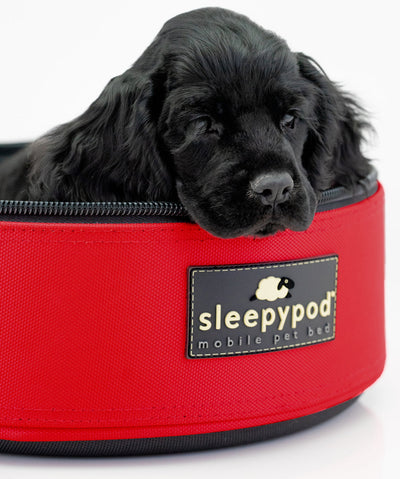 Sleepypod Mini Pet Carrier Travel Sleepypod 