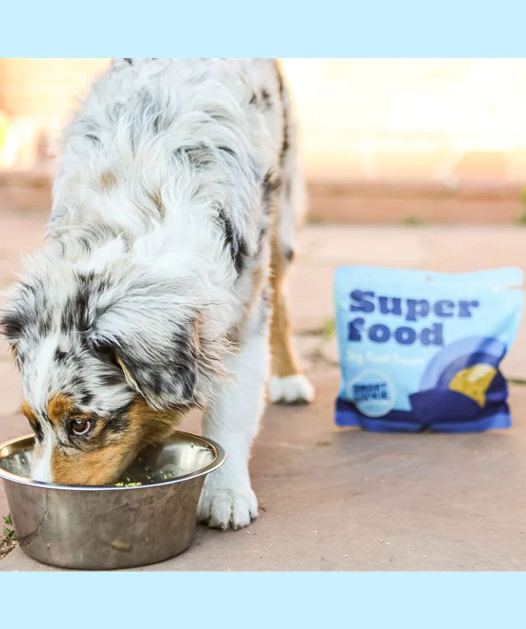 Smart Cookie Freeze-Dried Superfood Dog Food Topper Meal Topper Rover 