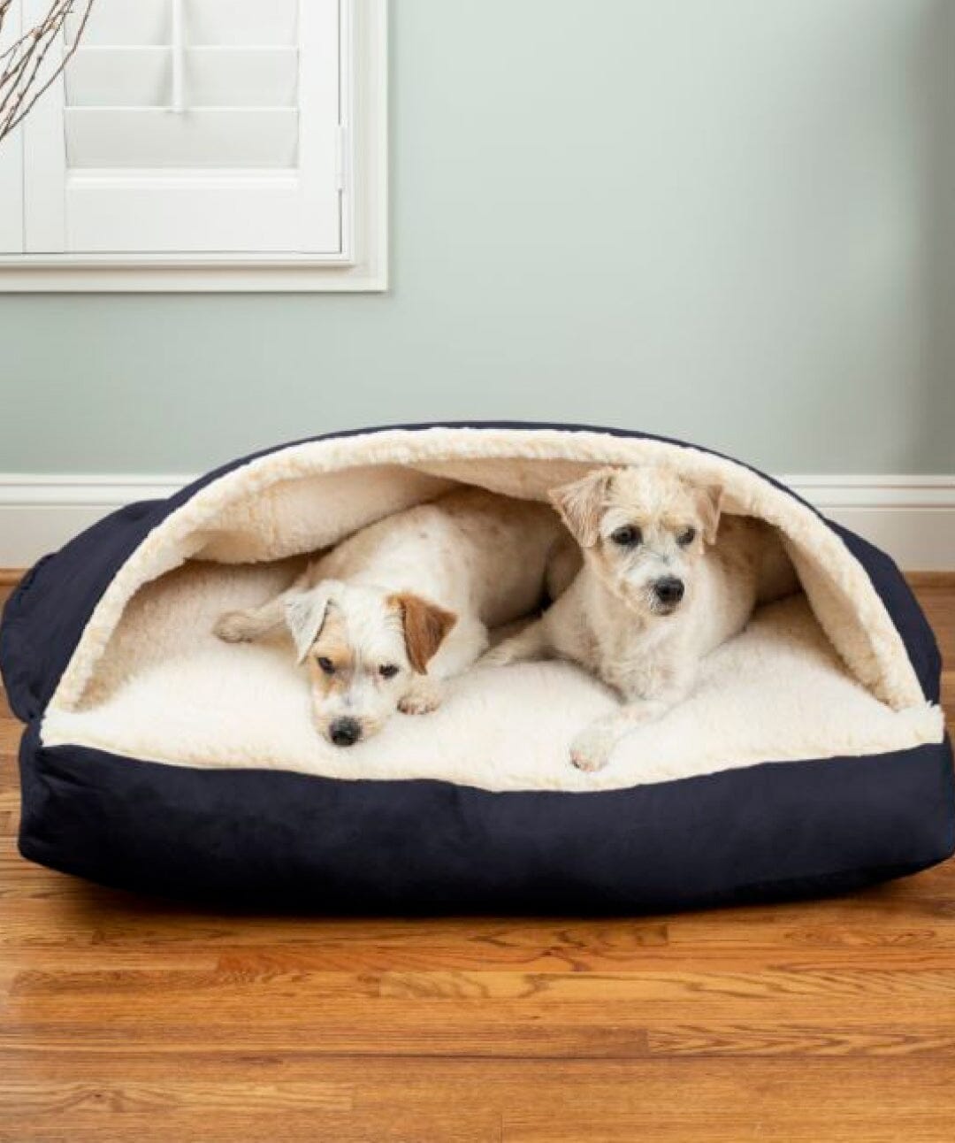 Snoozer Cozy Cave Rectangle Dog Bed Dog bed Snoozer Pet Products Large Sapphire Luxury Microsuede