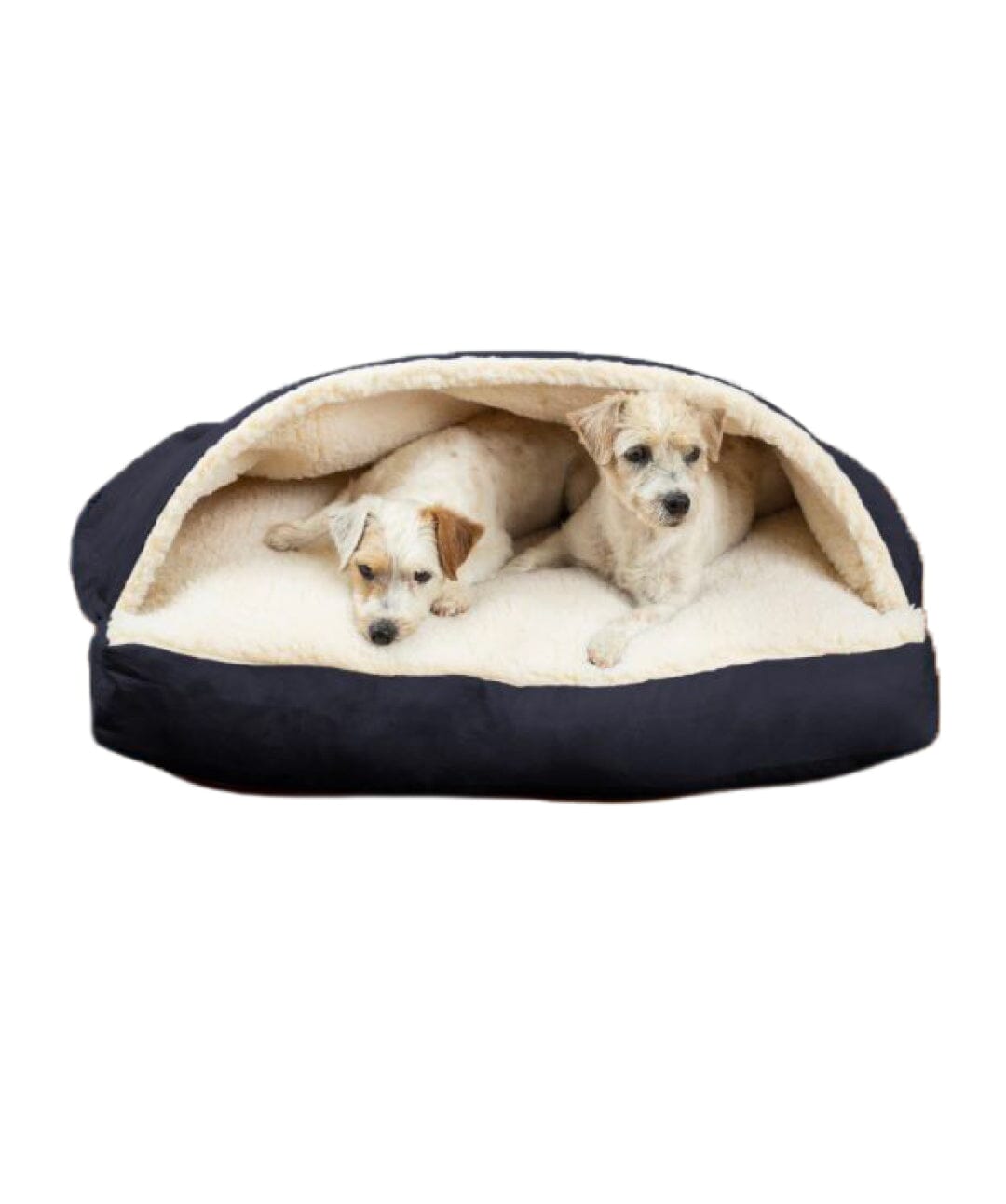 Snoozer Cozy Cave Rectangle Dog Bed Dog bed Snoozer Pet Products Small Black Luxury Microsuede