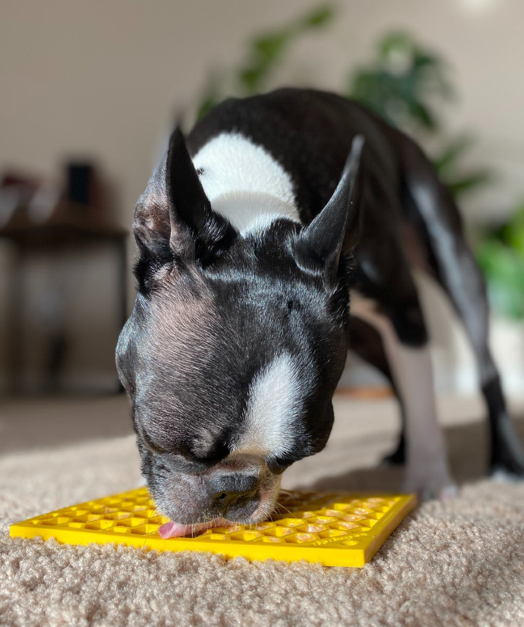KONG Licks Mat Treat Dispenser with Ridges and Grooves, Small