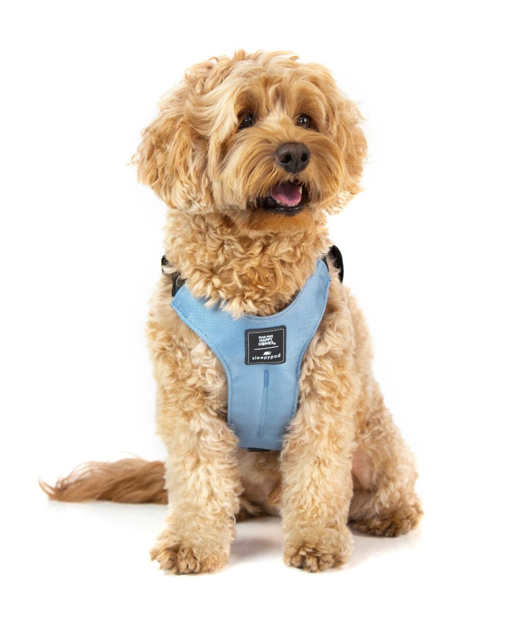 Special Edition Sleepypod x Fear Free Clickit Sport Plus Car Safety Dog Harness Harness Sleepypod Sky Blue S 