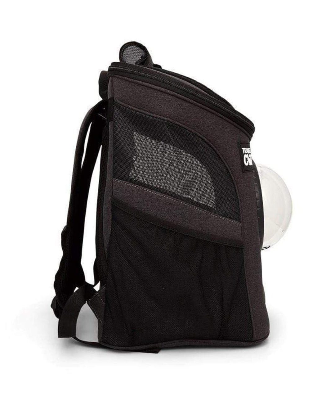 The Fat Cat Bubble Backpack for Large Cats Pet Carrier Travel Cat 