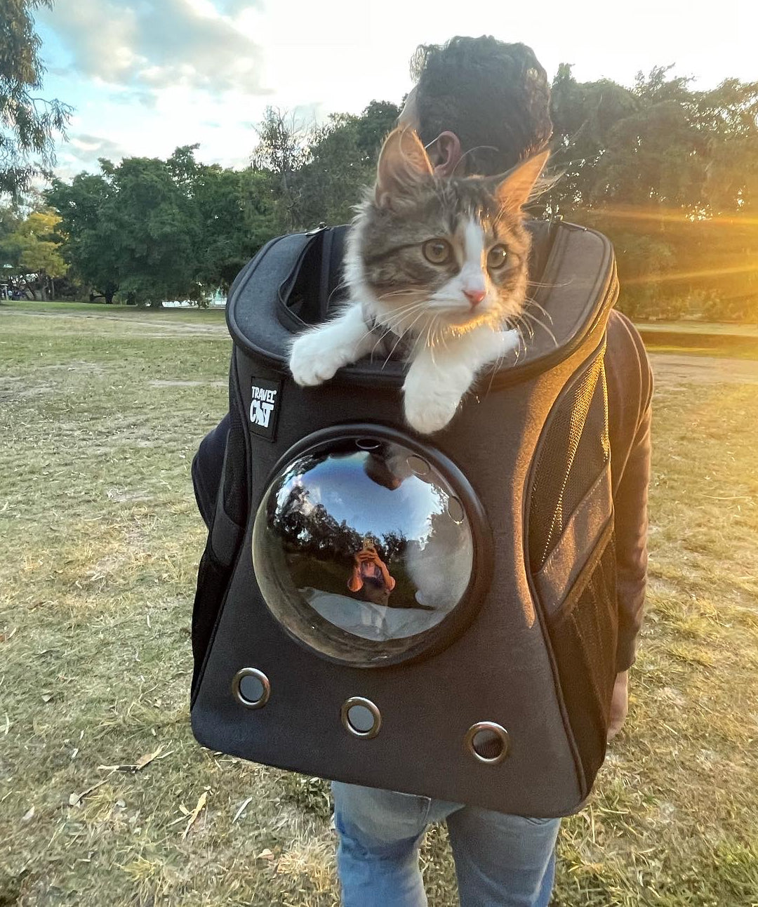 https://store.rover.com/cdn/shop/products/the-fat-cat-bubble-backpack-for-large-cats-pet-carrier-travel-cat-692499_1400x.jpg?v=1659376705