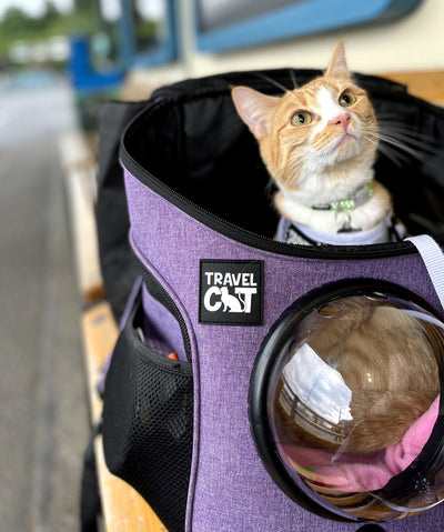The Fat Cat Mini Bubble Backpack for Small Cats Pet Carriers & Crates Travel Cat 