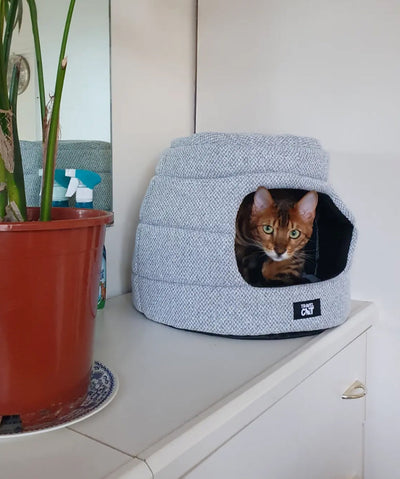 The Meowbile Home Convertible Cat Cave Bed Bed Travel Cat 
