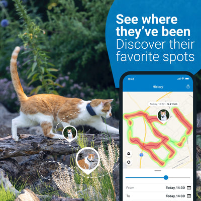 Tractive GPS Tracker for Cats GPS Tracker Tractive 