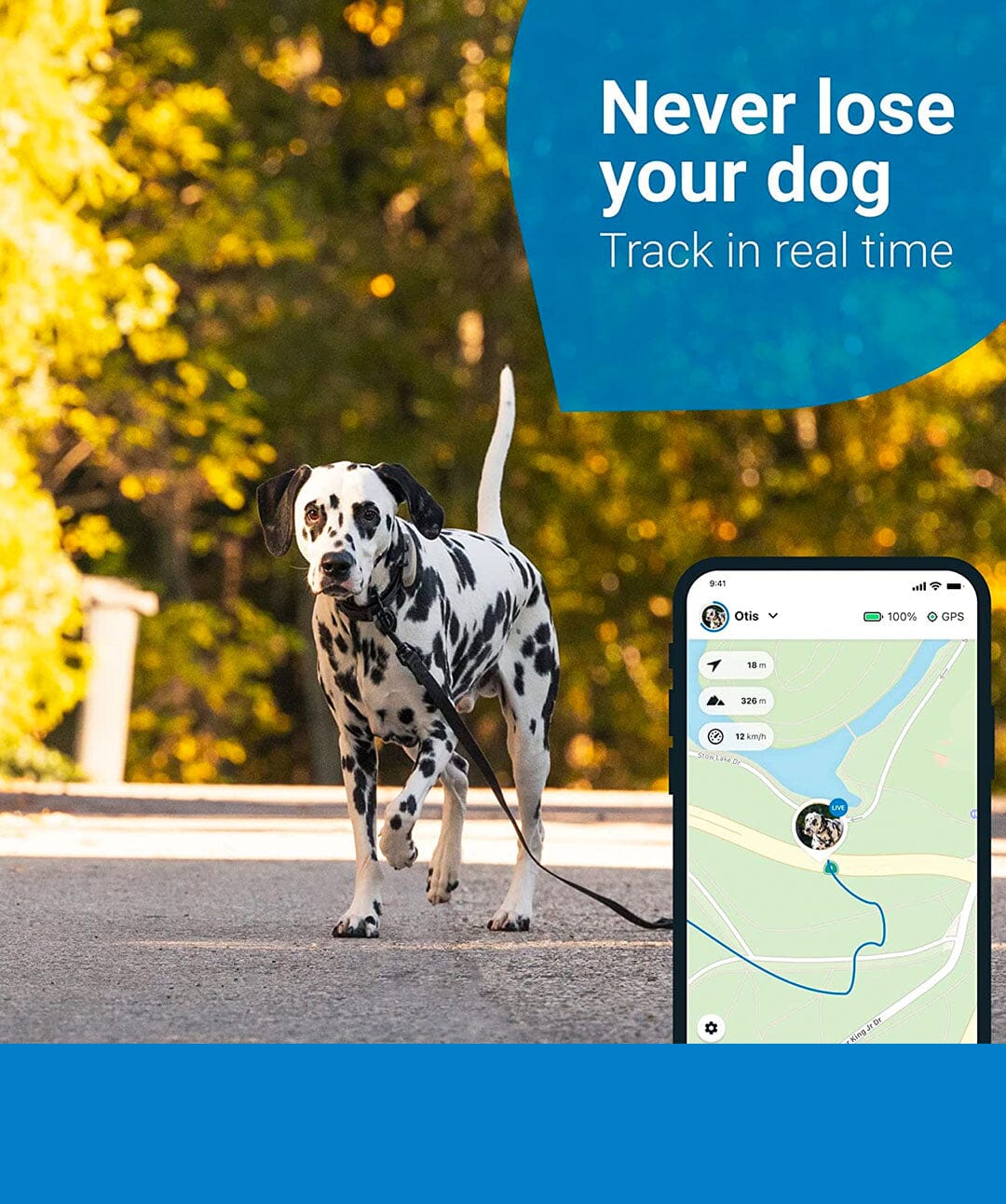 Tractive GPS Pet Tracker for Dogs Gift Bundle - Waterproof, GPS Location &  Smart Activity Tracker, Unlimited Range, Works with Any Collar (White)