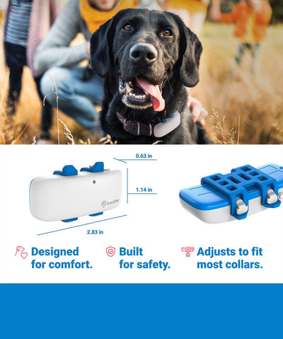 Tractive GPS Tracker for Dogs GPS Tracker Tractive 