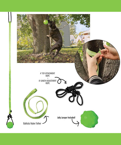 Tree Tugger™ Interactive Dog Toy Dog Toy Rover 