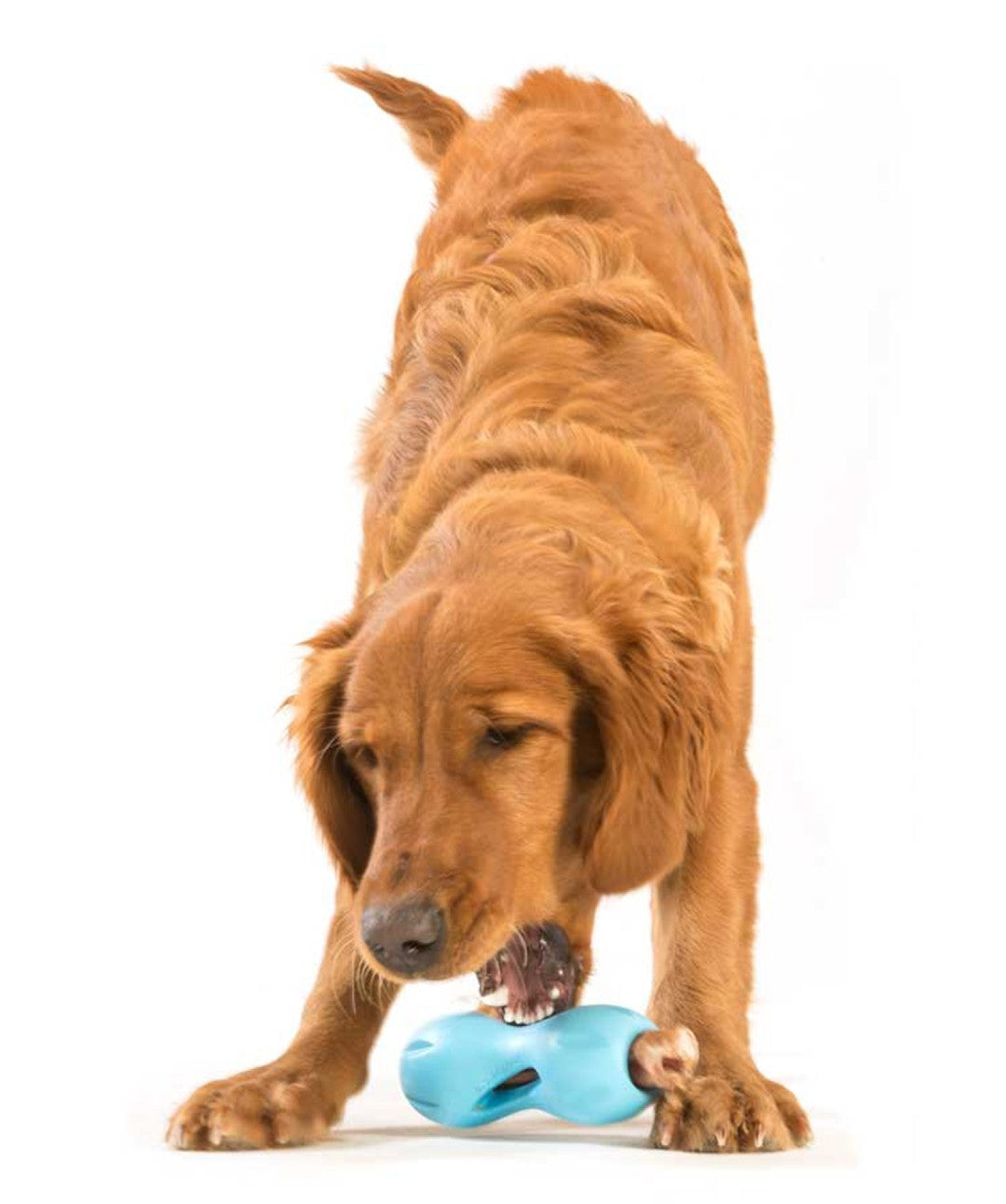 West Paw Zogoflex Qwizl Dog Puzzle Treat Toy – Interactive Chew