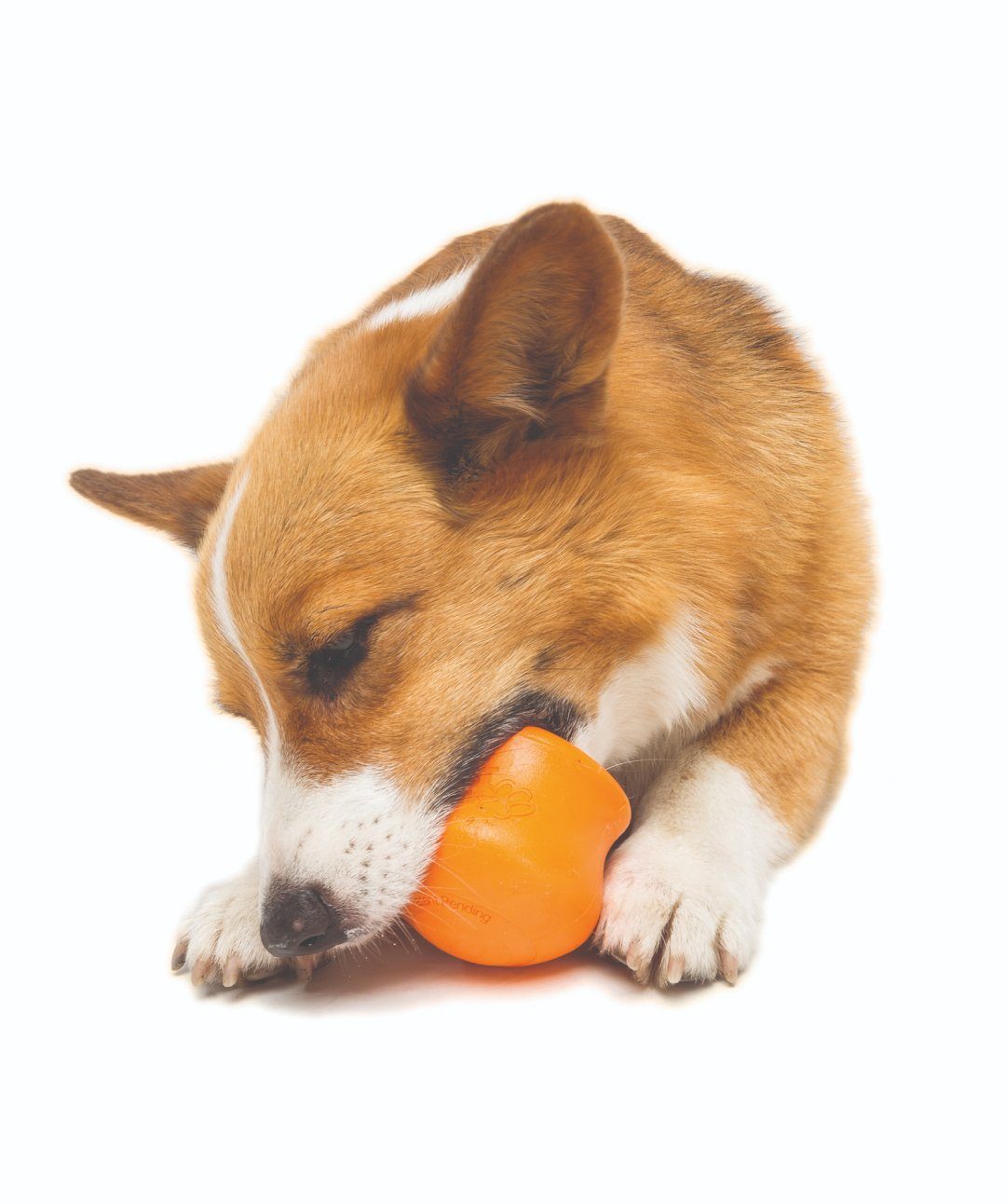 West Paw Zogoflex Toppl Treat Dog Toy - Derry, NH - Dover, NH