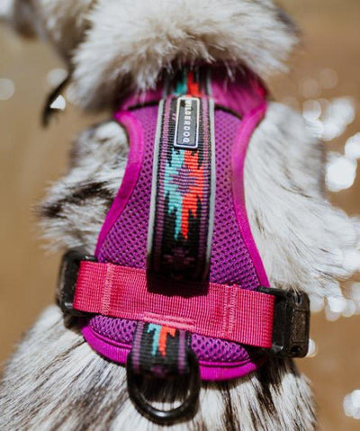 Wilderdog Dog Harness Harness Wilderdog Small Pink 