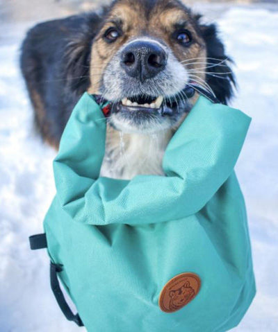 Wilderdog Doggie Bag Travel Bag Wilderdog Teal 