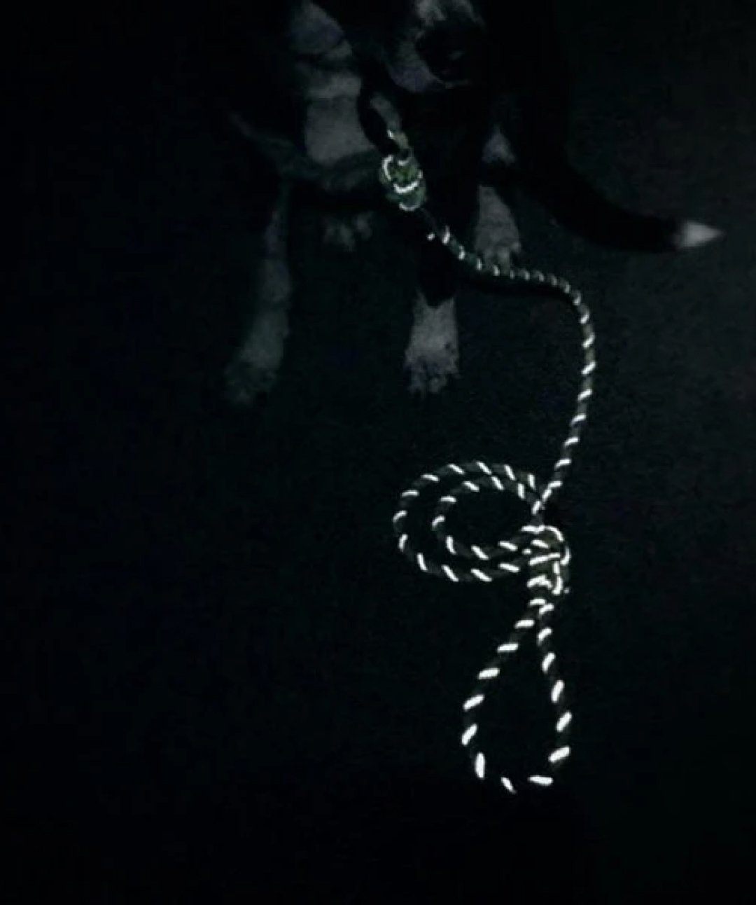 Wilderdog Reflective Climbing Rope Dog Leash Leash Wilderdog 