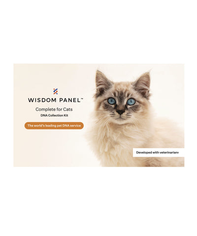Wisdom Panel™ Complete Cat DNA Test Kit Clothing Kinship 