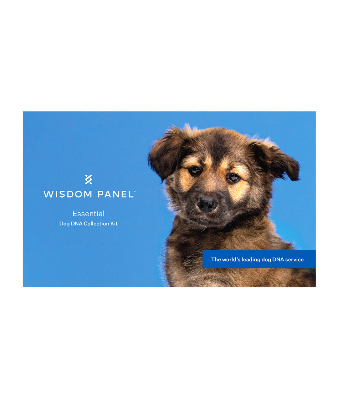 Wisdom Panel DNA Kit - Essential Kinship 