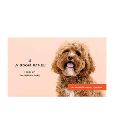 Wisdom Panel™ Premium Dog DNA Test Kit Clothing Kinship 
