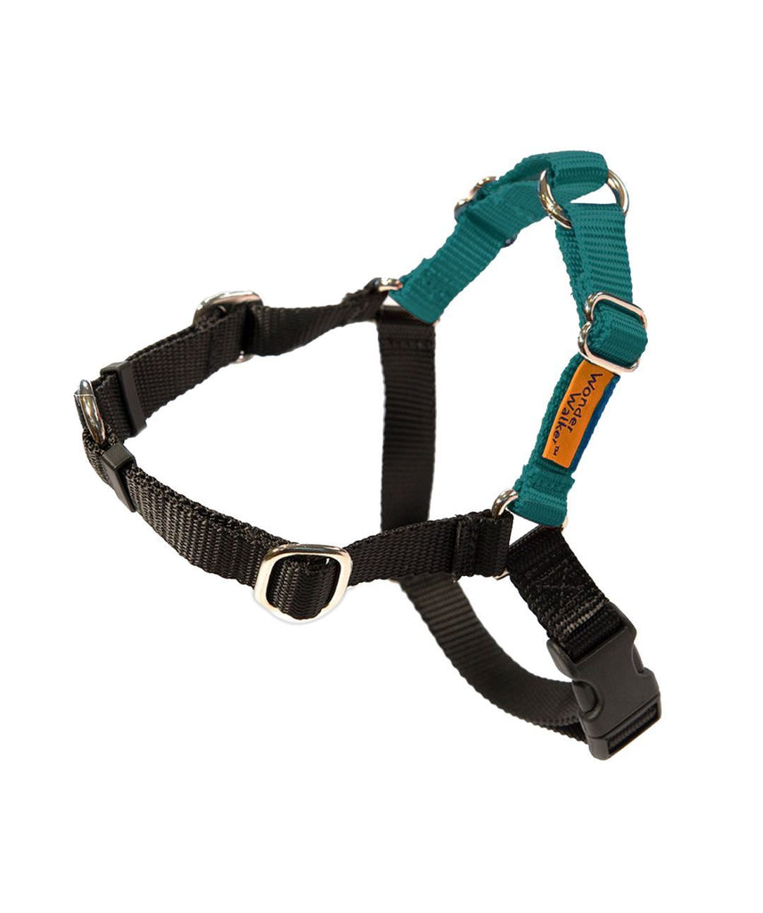 Grreat Choice Adjustable 14 Max Navy Dog Collar (Small)