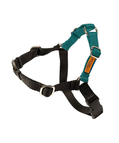 https://store.rover.com/cdn/shop/products/wonder-walker-body-halterc-dog-harness-14-colors-harness-dolans-dog-doo-dads-toy-teal-875856_400x.png?v=1631730488