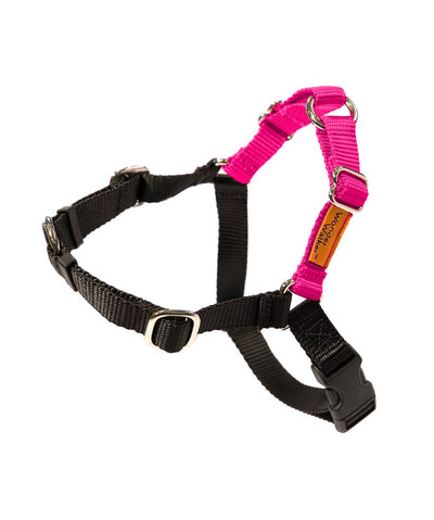 Wonder Walker™ Body Halter© Dog Harness (7 Colors) Harness Dolan's Dog Doo-Dads Tiny Hot Pink 