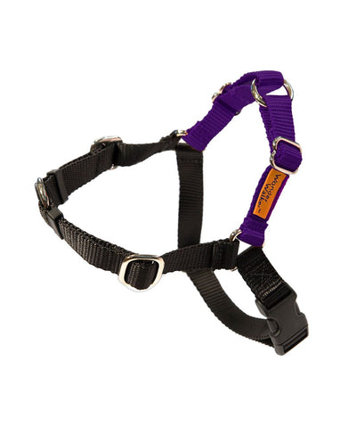 Wonder Walker™ Body Halter© Dog Harness (7 Colors) Harness Dolan's Dog Doo-Dads Tiny Purple 