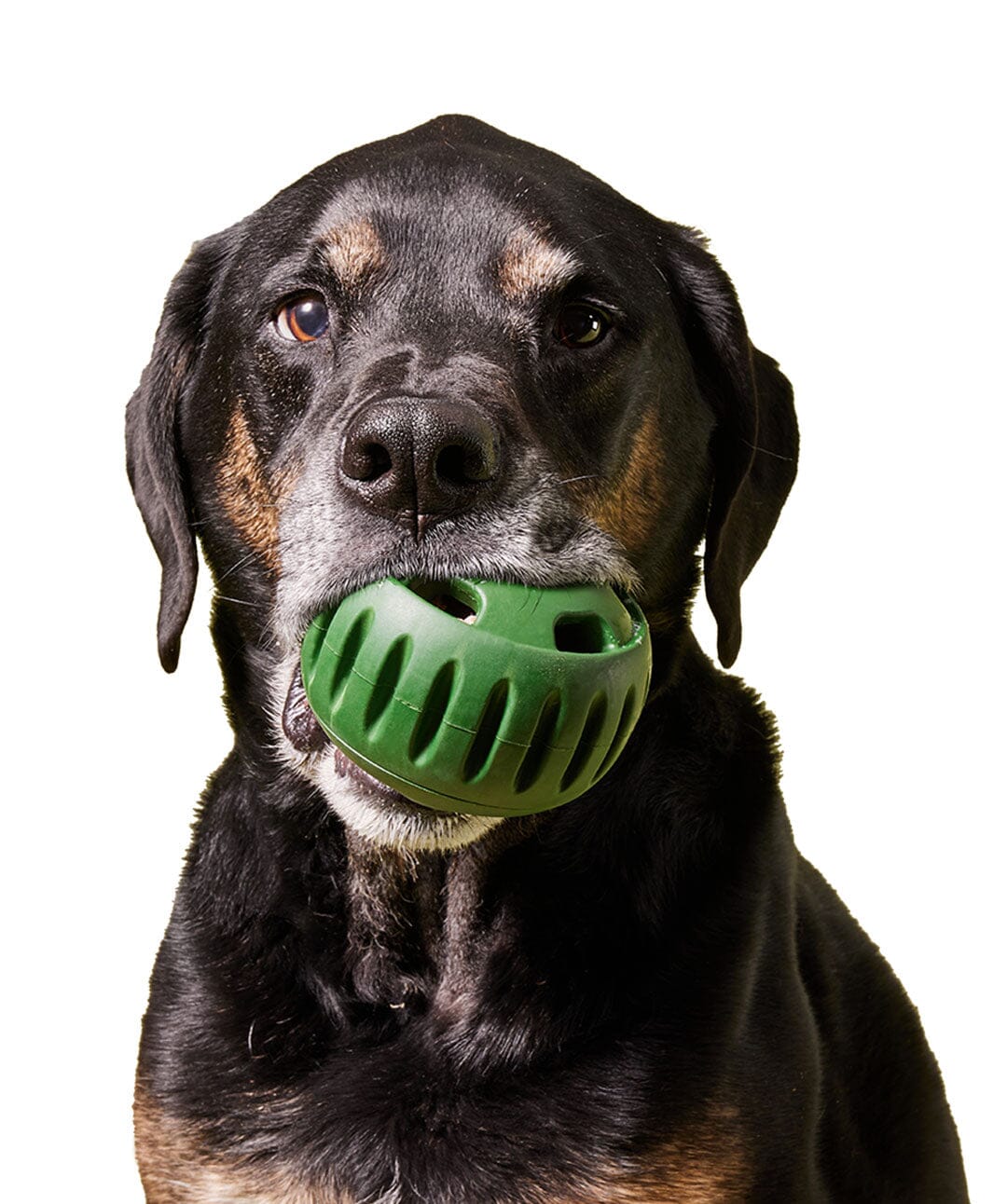 Toys for Dogs Ball Interactive Chew Toys for Anxiety Soft Tooth
